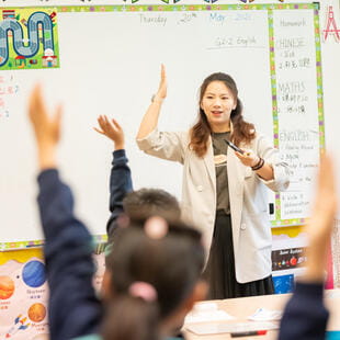 双语中小学 - 03 - Feature Cards Pattern